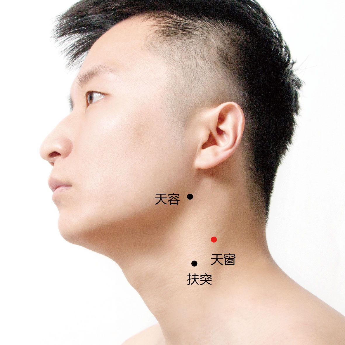 天容