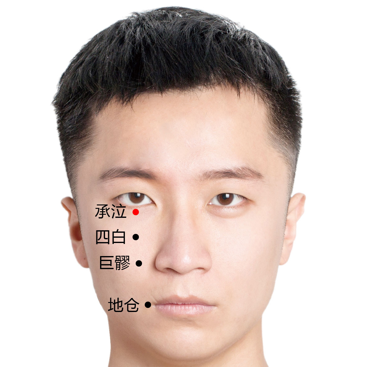 巨髎