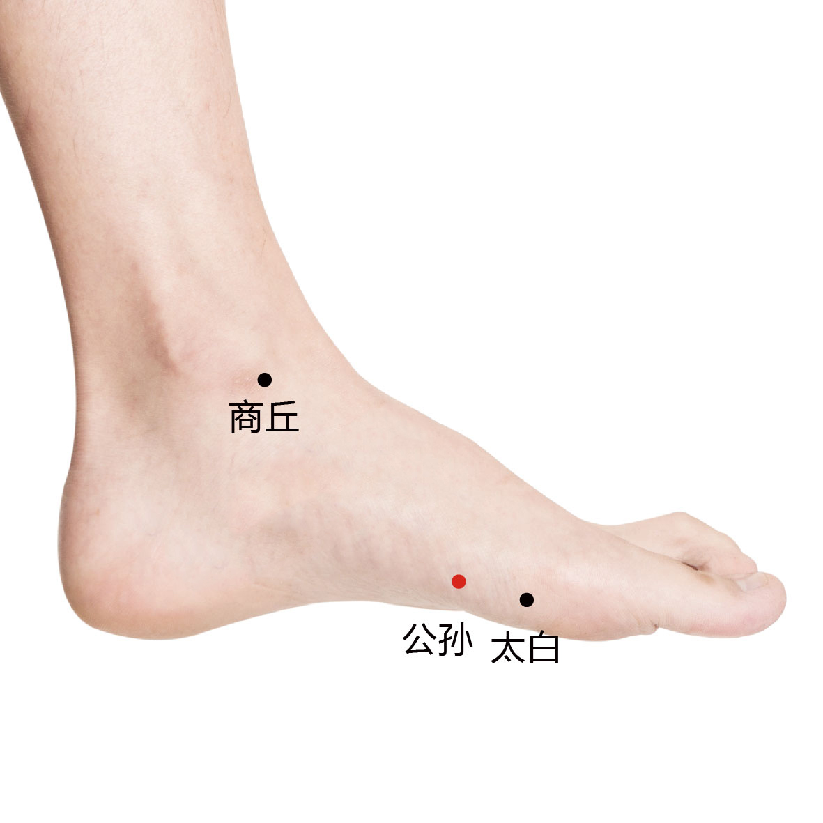 商丘